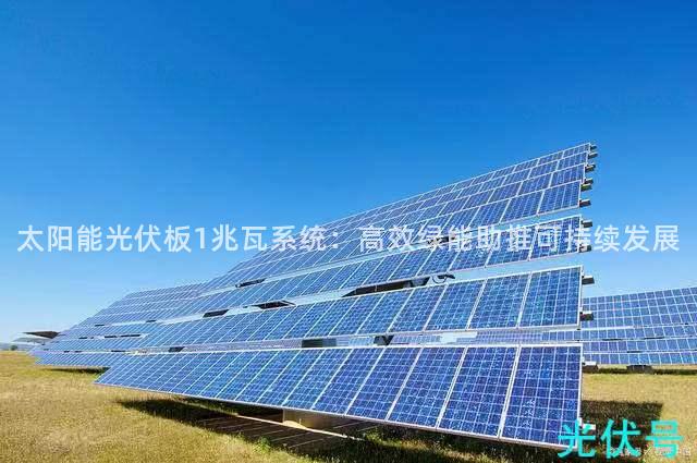 太阳能光伏板1兆瓦系统：高效绿能助推可持续发展